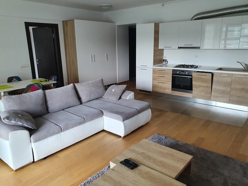 Barbu Vacarescu, Pipera,